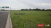 901 South Loop 289 photo